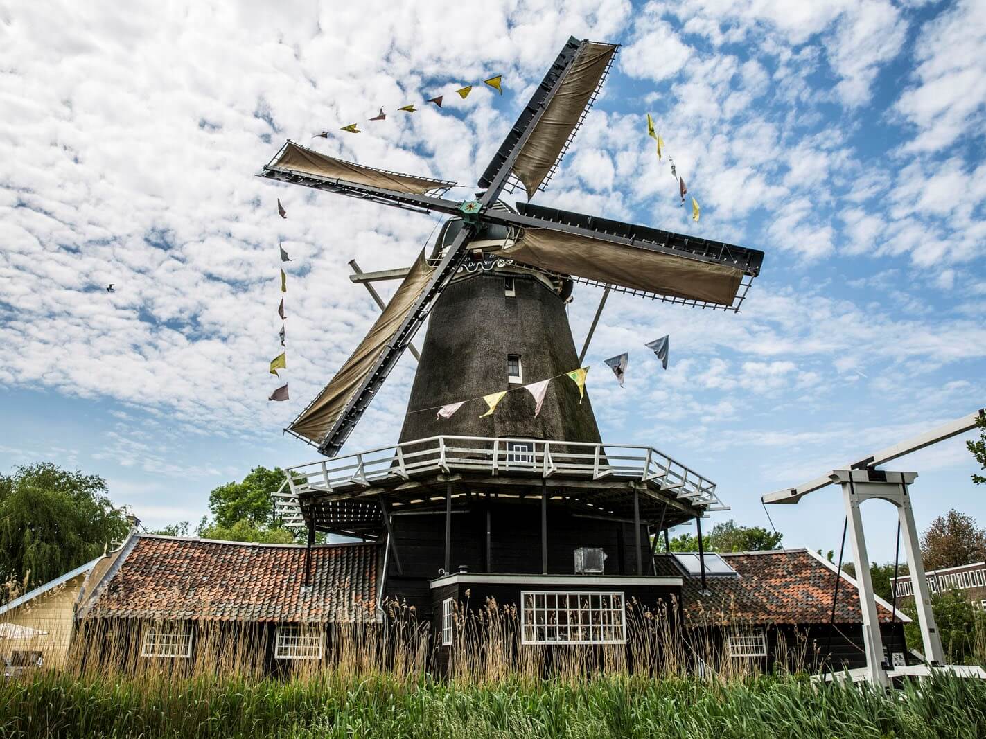 Molen de Ster