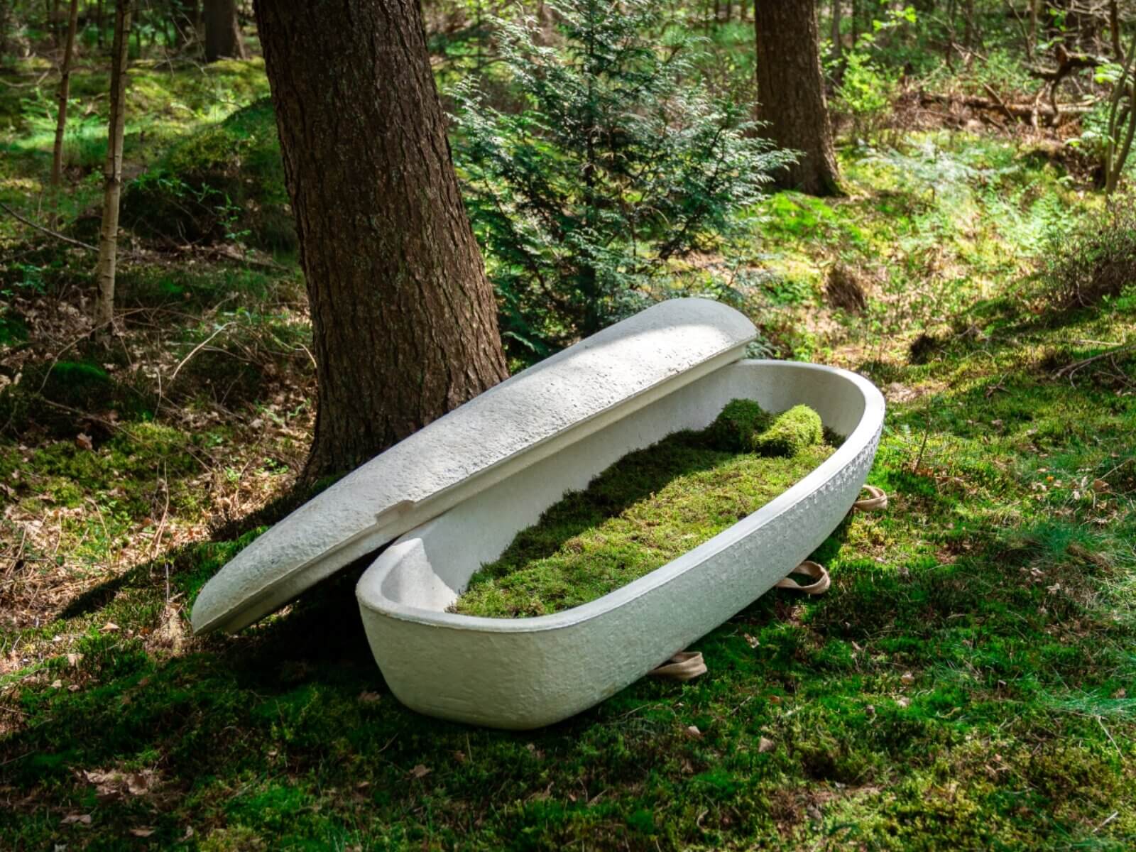 Loop Living Cocoon